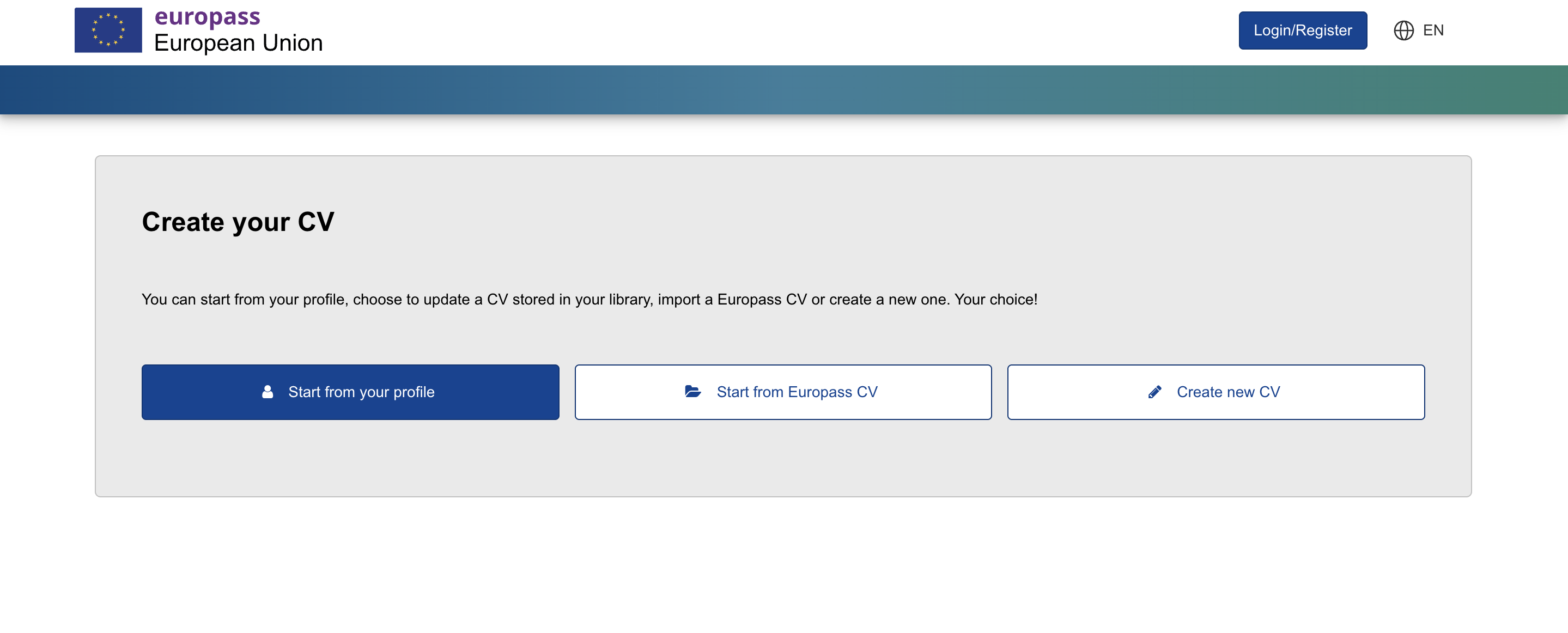 Screenshot of the CV builder options